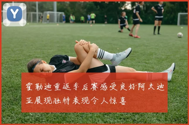 霍勒迪重返季后赛感受良好阿夫迪亚展现独特表现令人惊喜